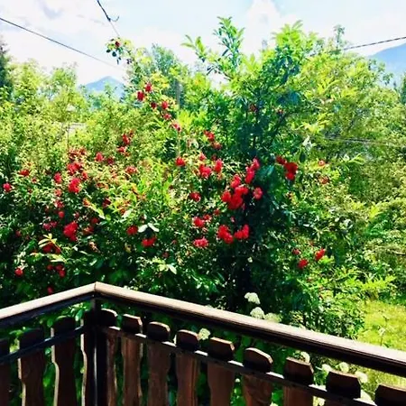 Apartmaji Jana