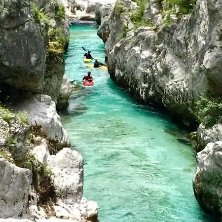 Apartmaji Jana 公寓 博维茨