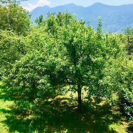 Apartmaji Jana 公寓