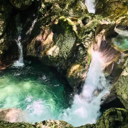 Apartmaji Jana شقة بوويتش