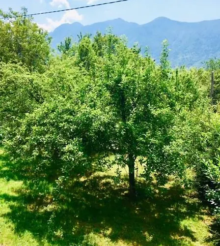 Apartmaji Jana Appartement